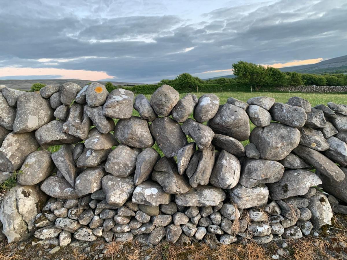 Burren Court Lodge Ballyvaughan Dış mekan fotoğraf