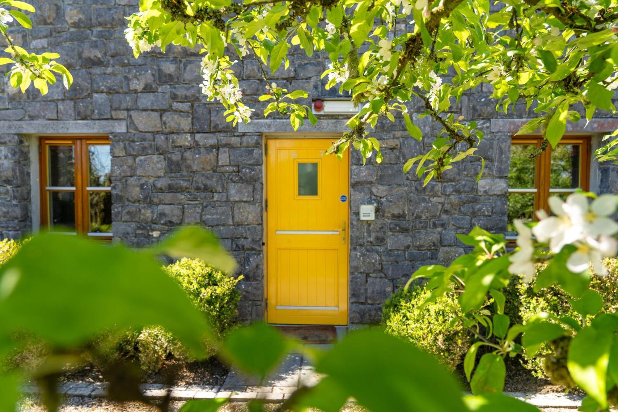 Burren Court Lodge Ballyvaughan Dış mekan fotoğraf
